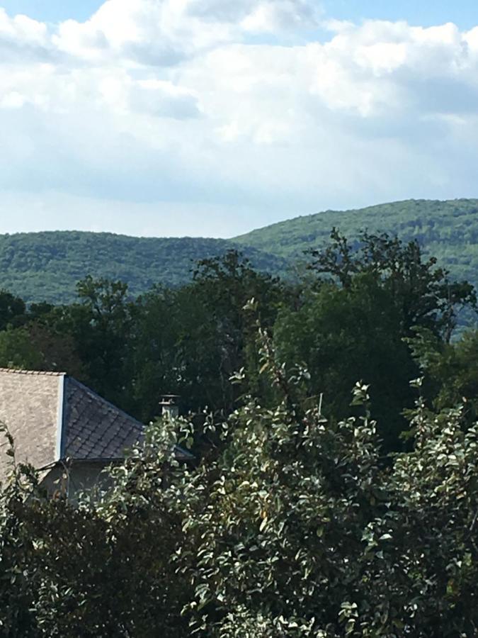 Appartement T2 Independant Dans Maison Pugny-Chatenod Kültér fotó